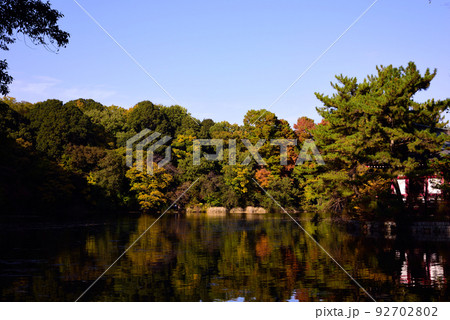 石神井公園の紅葉 92702802