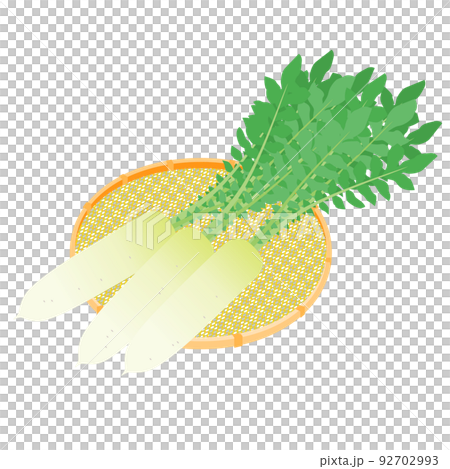 野菜イラスト　かごに盛った、葉付きのダイコン 92702993