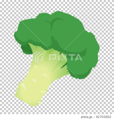 Vegetable illustration 1 stick of broccoli 92703002