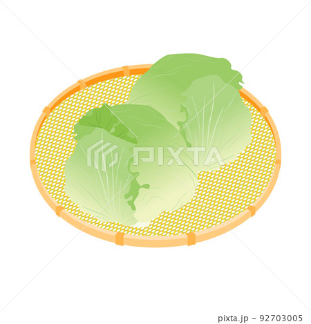 野菜イラスト　カゴに盛ったレタス 92703005