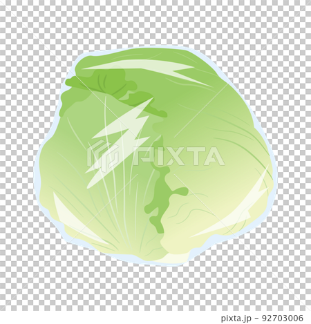 野菜イラスト　ビニール包装されたレタス 92703006