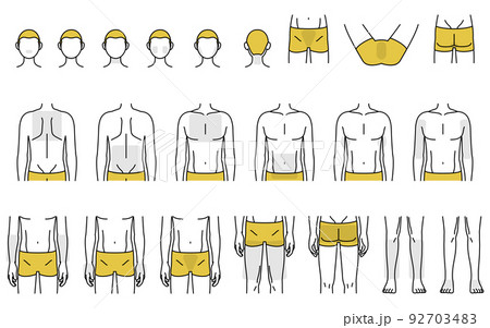 メンズ脱毛の脱毛箇所別ボディパーツセット、ひげとVIO、全身脱毛 メンズ脱毛の脱毛箇所別ボディパーツセット、ひげとVIO、全身脱毛 92703483