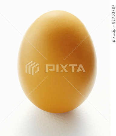 Brown egg on white background 92703787