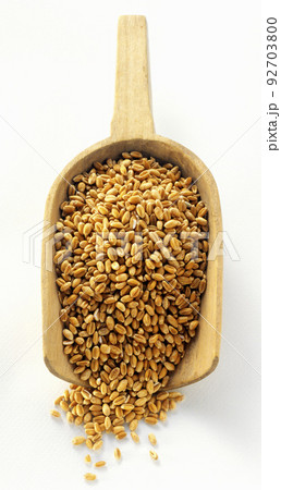 barley pearls barley pearls 92703800