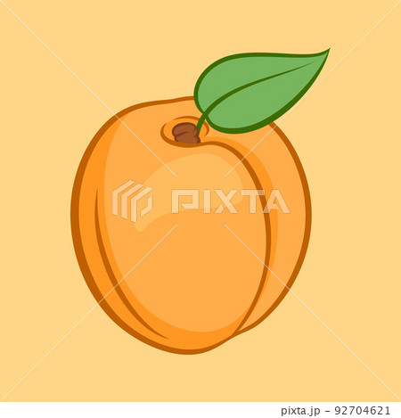 Apricot Icon 92704621