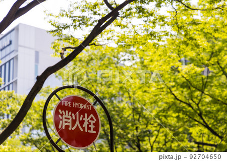 仙台　緑豊かな都市風景 92704650