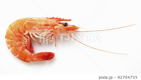 shrimp isolated on white shrimp isolated on white 92704735