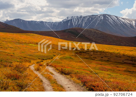 Bright sunny autumn landscape with sunlit gold valley and winding trail through dwarf birch on mountainside under dramatic sky. Awesome alpine scenery with beautiful mountains in golden sunshine. Bright sunny autumn landscape with sunlit gold valley and winding trail through dwarf birch on mountainside under dramatic sky. Awesome alpine scenery with beautiful mountains in golden sunshine. 92706724