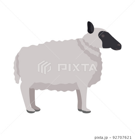 New Zealand Sheep Compositionのイラスト素材 [92707621] - PIXTA