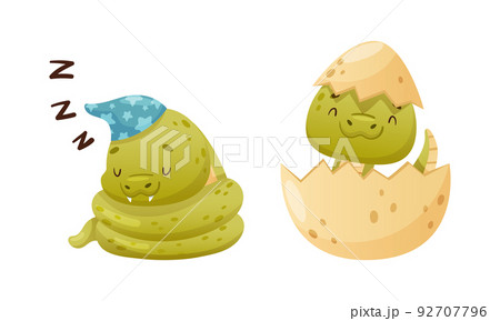 Cute Green Baby Snake as Crawling Creature Hatching from Egg Shell and Sleeping Coiled in Night Cap Vector Set 92707796