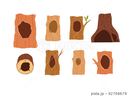 Hollow, a hole in a tree, a set of illustrations on a white background, a vector flat. 92708679