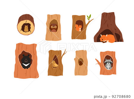 Cute animals sitting inside of tree hollow, nest or burrow - flat vector illustration isolated on white background. 92708680