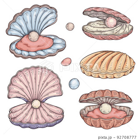 Seashells with pearl inside, hand drawn sketchのイラスト素材