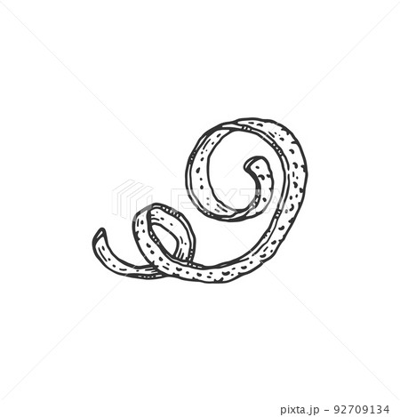 Orange spiral zest or peel monochrome engraving vector illustration isolated. Orange spiral zest or peel monochrome engraving vector illustration isolated. 92709134