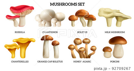 Mushrooms Realistic Horizontal Set 92709267