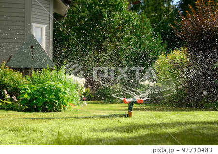 Watering garden with a hose at heat summer. Close up. Watering garden with a hose at heat summer. Close up. 92710483