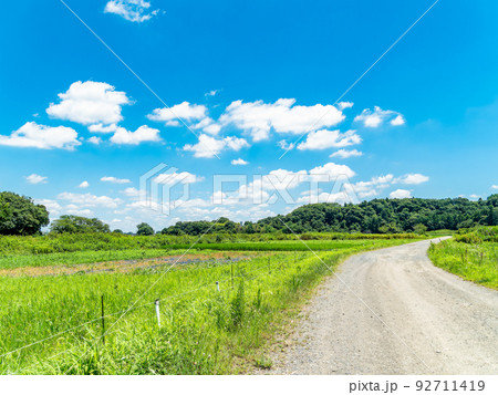 爽やかな真夏の景色 野原の中の一本の砂利道 爽やかな真夏の景色 野原の中の一本の砂利道 92711419