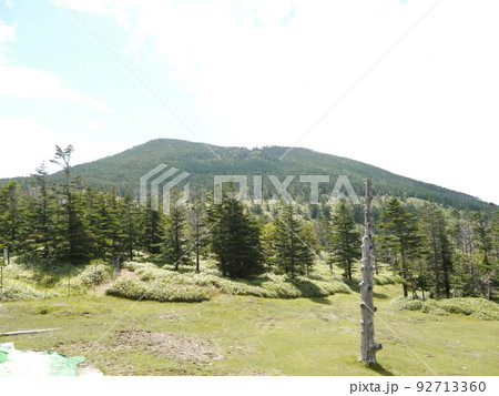 八丁平から見る縞枯山（北八ヶ岳・蓼科） 92713360