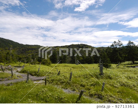 縞枯山荘付近の登山道 縞枯山荘付近の登山道 92713361