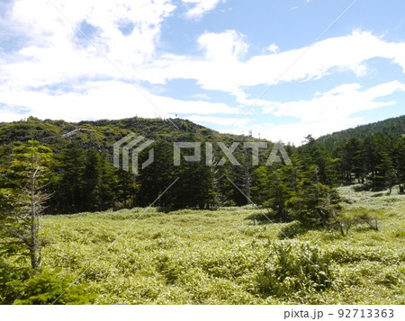 縞枯山荘付近の登山道 92713363