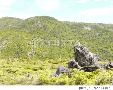 坪庭散策(北八ヶ岳ロープウエイ) 坪庭散策(北八ヶ岳ロープウエイ) 92713367