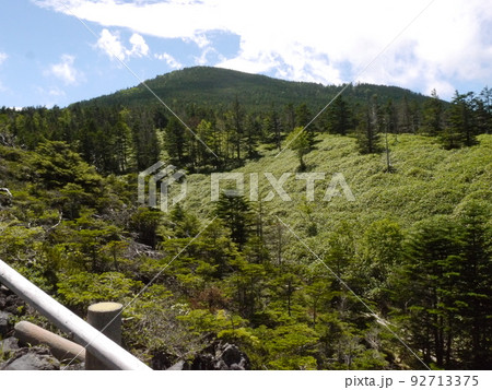 坪庭散策(北八ヶ岳ロープウエイ) 坪庭散策(北八ヶ岳ロープウエイ) 92713375