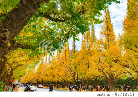 秋の東京 港区北青山 神宮外苑いちょう並木の紅葉 秋の東京 港区北青山 神宮外苑いちょう並木の紅葉 92713511