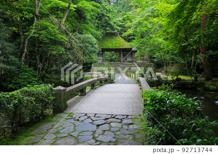 京都・京都市左京区 法然院 山門・参道 京都・京都市左京区 法然院 山門・参道 92713744