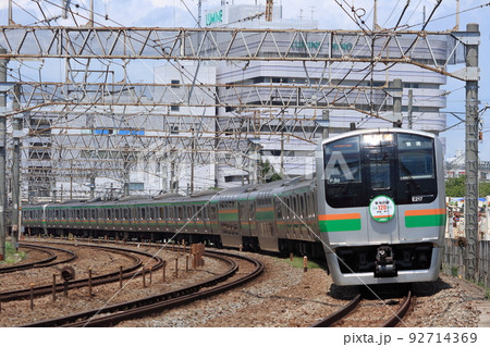 長大な編成を連ねてカーブを走る東海道線E217系電車_2009/5/31撮影 92714369