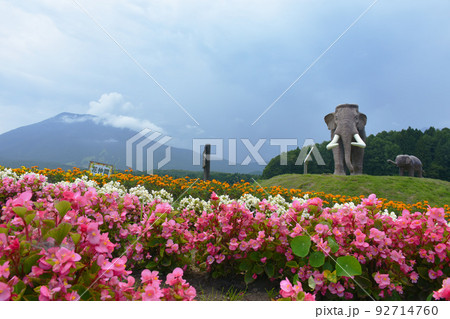 国道18号からの野尻湖ナウマンゾウの親子像 92714760