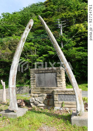 【五島市　西海国立公園　荒川温泉　捕鯨の往時を偲ばせる鯨の骨のアーチ】 92714761
