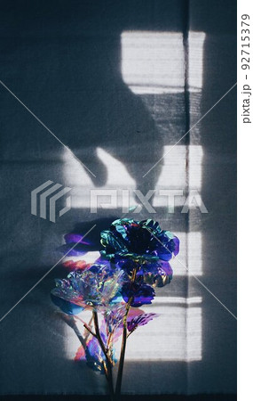 薔薇と掴もうとする手の影 薔薇と掴もうとする手の影 92715379