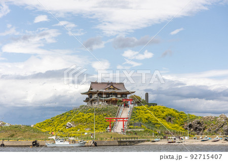 菜の花に包まれた初夏の蕪島(青森県八戸市) 菜の花に包まれた初夏の蕪島(青森県八戸市) 92715407