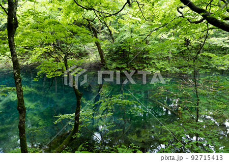 曇天の十二湖沸壺の池(青森県深浦町) 曇天の十二湖沸壺の池(青森県深浦町) 92715413