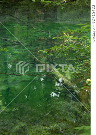 曇天の十二湖沸壺の池(青森県深浦町) 曇天の十二湖沸壺の池(青森県深浦町) 92715422