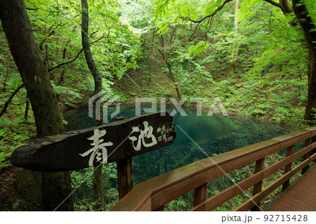 曇天の十二湖青池の看板(青森県深浦町) 曇天の十二湖青池の看板(青森県深浦町) 92715428