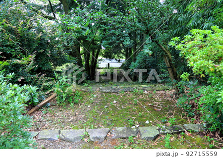 池田山山麓散策（仏巌山・禅蔵寺）・5（岐阜県揖斐郡池田町） 92715559