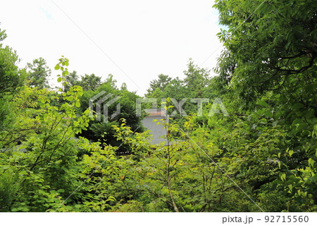 池田山山麓散策(仏巌山・禅蔵寺)・6(岐阜県揖斐郡池田町) 池田山山麓散策(仏巌山・禅蔵寺)・6(岐阜県揖斐郡池田町) 92715560