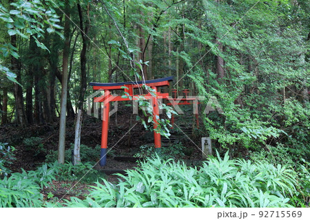 池田山山麓散策(仏巌山・禅蔵寺)・15(岐阜県揖斐郡池田町) 池田山山麓散策(仏巌山・禅蔵寺)・15(岐阜県揖斐郡池田町) 92715569