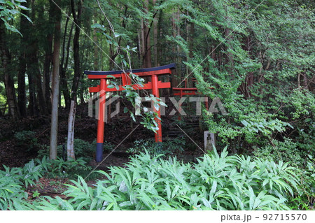 池田山山麓散策（仏巌山・禅蔵寺）・16（岐阜県揖斐郡池田町） 92715570