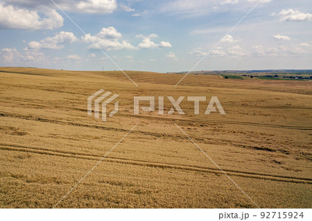 Aerial view of yellow agriculture wheat field ready to be harvested in late summer. Aerial view of yellow agriculture wheat field ready to be harvested in late summer. 92715924