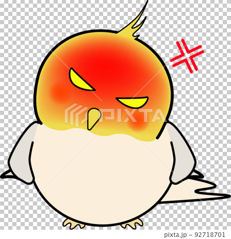 怒る可愛いオカメインコ 92718701