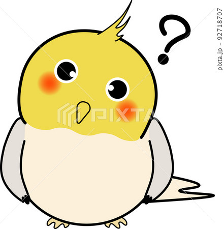 疑問を感じる可愛いオカメインコ 92718707