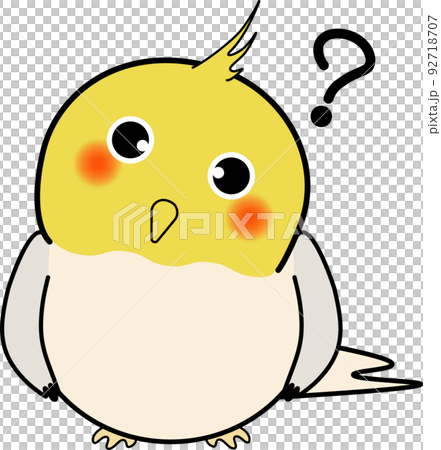 疑問を感じる可愛いオカメインコ 92718707