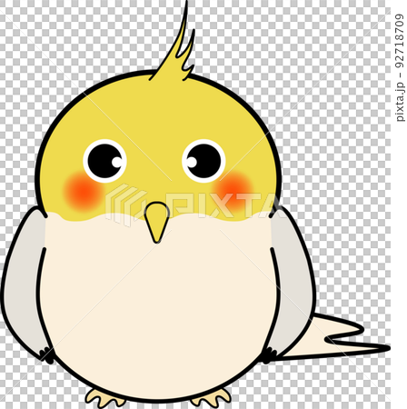 可愛的鸚鵡 92718709