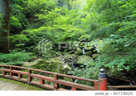 三徳山 三佛寺 投入堂 参拝登山道 【鳥取県三朝町三徳】 三徳山 三佛寺 投入堂 参拝登山道 【鳥取県三朝町三徳】 92719020