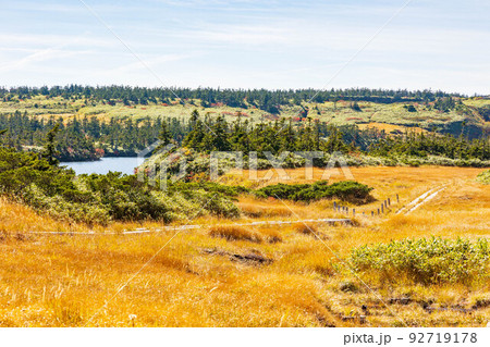 日本百名山　草紅葉映える秋の八幡平 92719178