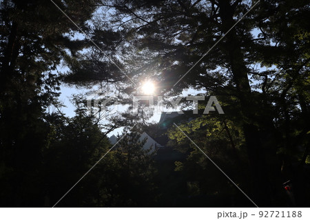 青空と山門と光芒の広がる太陽にピント合わせて樹々の森を暗く撮影した風景 92721188