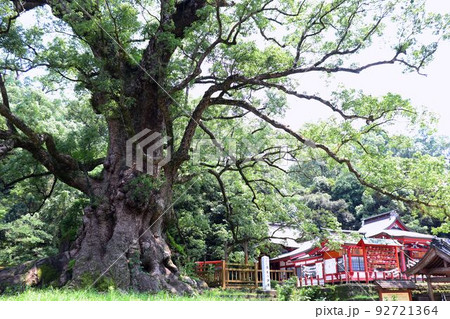 蒲生の大楠と蒲生八幡神社 92721364