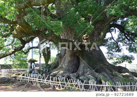 寂心さんのクス 92721689